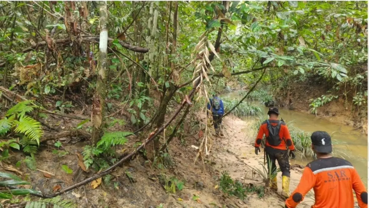 Tim SAR Perluas Radius Pencarian Warga Hilang di Hutan PT ITCI Sepaku PPU, Masuk Hari Ketiga Belum Ditemukan