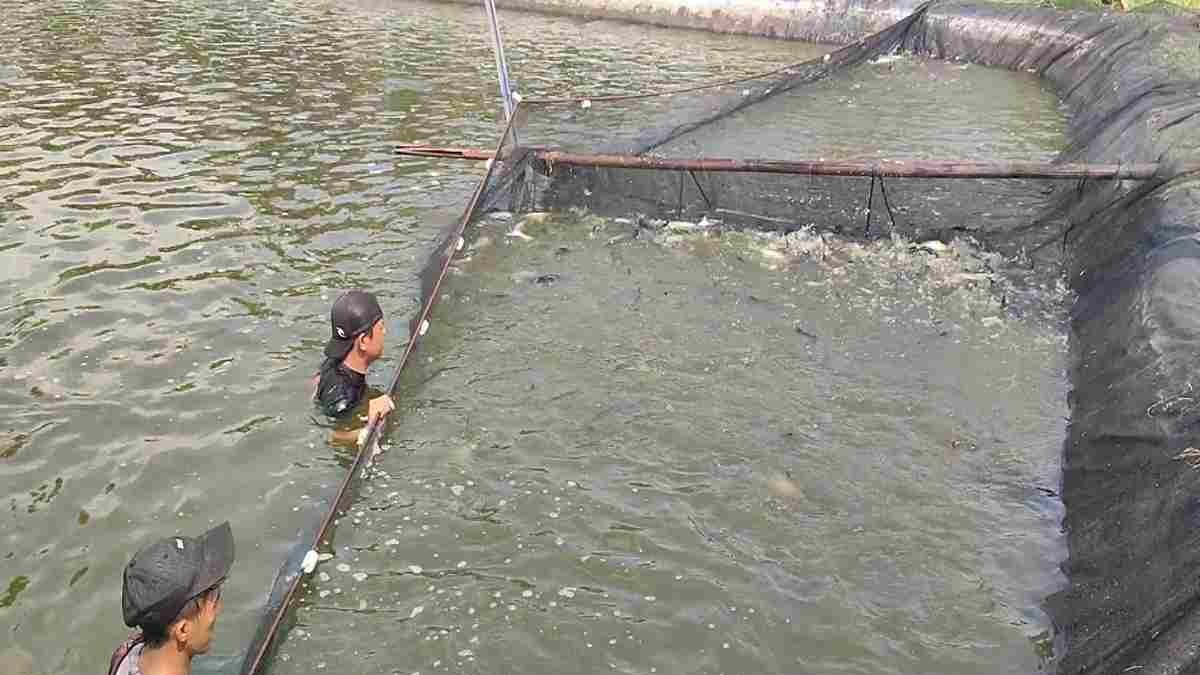 23 Siswa SD di Bantul Diduga Keracunan Menu MBG, Dinkes Uji Sampel Makanan di Laboratorium