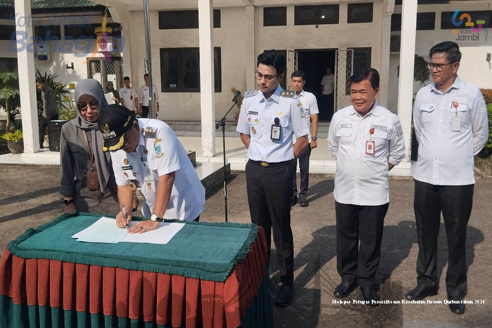 Pemkot Jambi Lepas 50 Petugas Periksa Kesehatan Hewan Kurban, Sapi Presiden Berbobot 800 Kg Disembelih di Masjid Baitul Mustofa