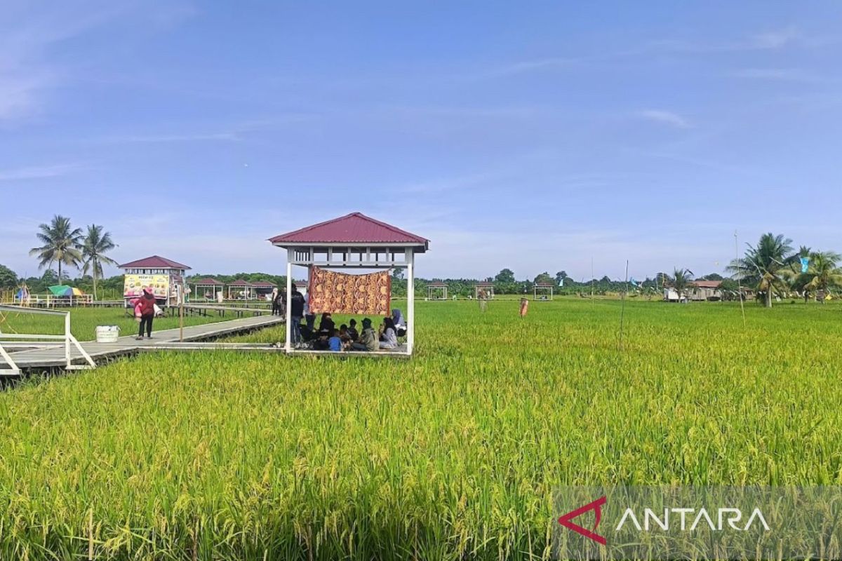 Indeks Ketahanan Pangan Kaltim Tembus 80,82 dan Peringkat 2 Nasional, 107 Desa Masih Rentan Rawan Pangan