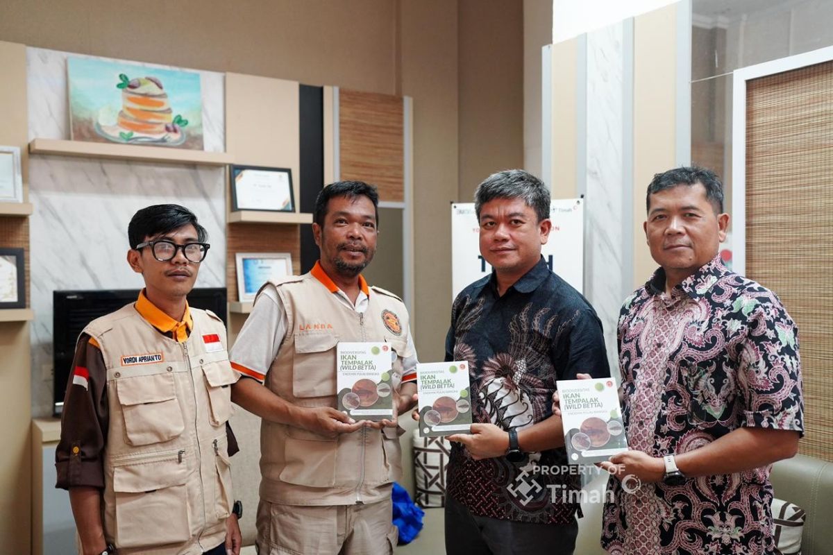 PT Timah dan The Tanggokers Satu Tim Selamatkan Ikan Tempalak Endemik Bangka yang Terancam Punah, Buku Biodiversitas Jadi Acuan
