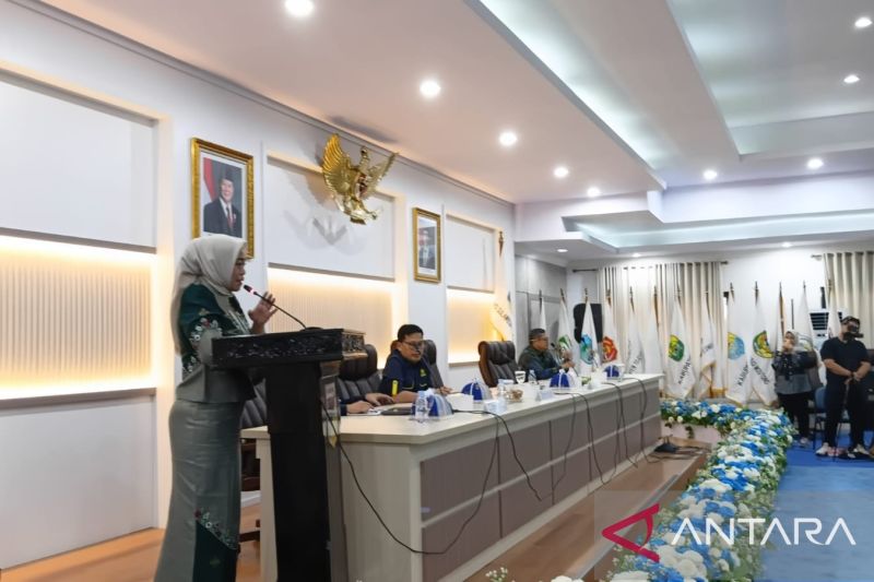 Pemprov Sulteng Usulkan 700 Titik Listrik Desa Baru ke Kementerian ESDM untuk Anggaran 2027
