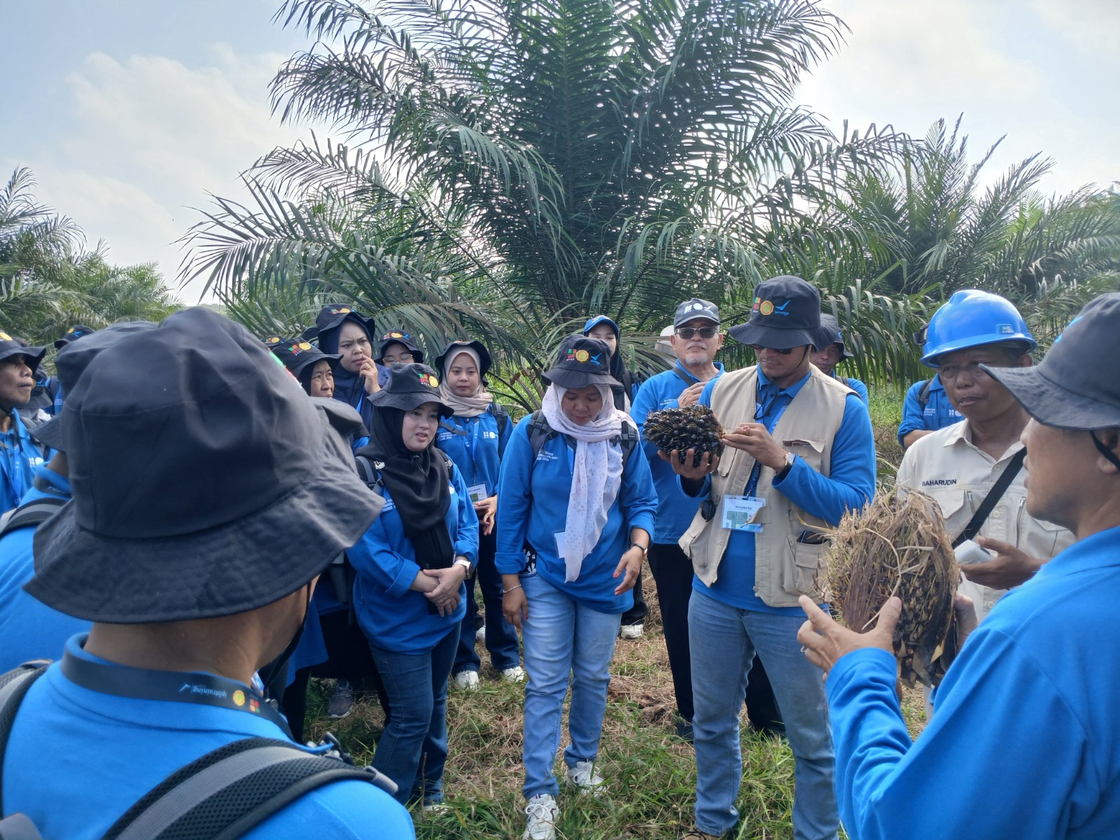 BPDP dan IPB Training Latih 128 Pekebun Musi Rawas Selama 16 Hari, Targetkan Produktivitas Sawit Rakyat Naik Signifikan