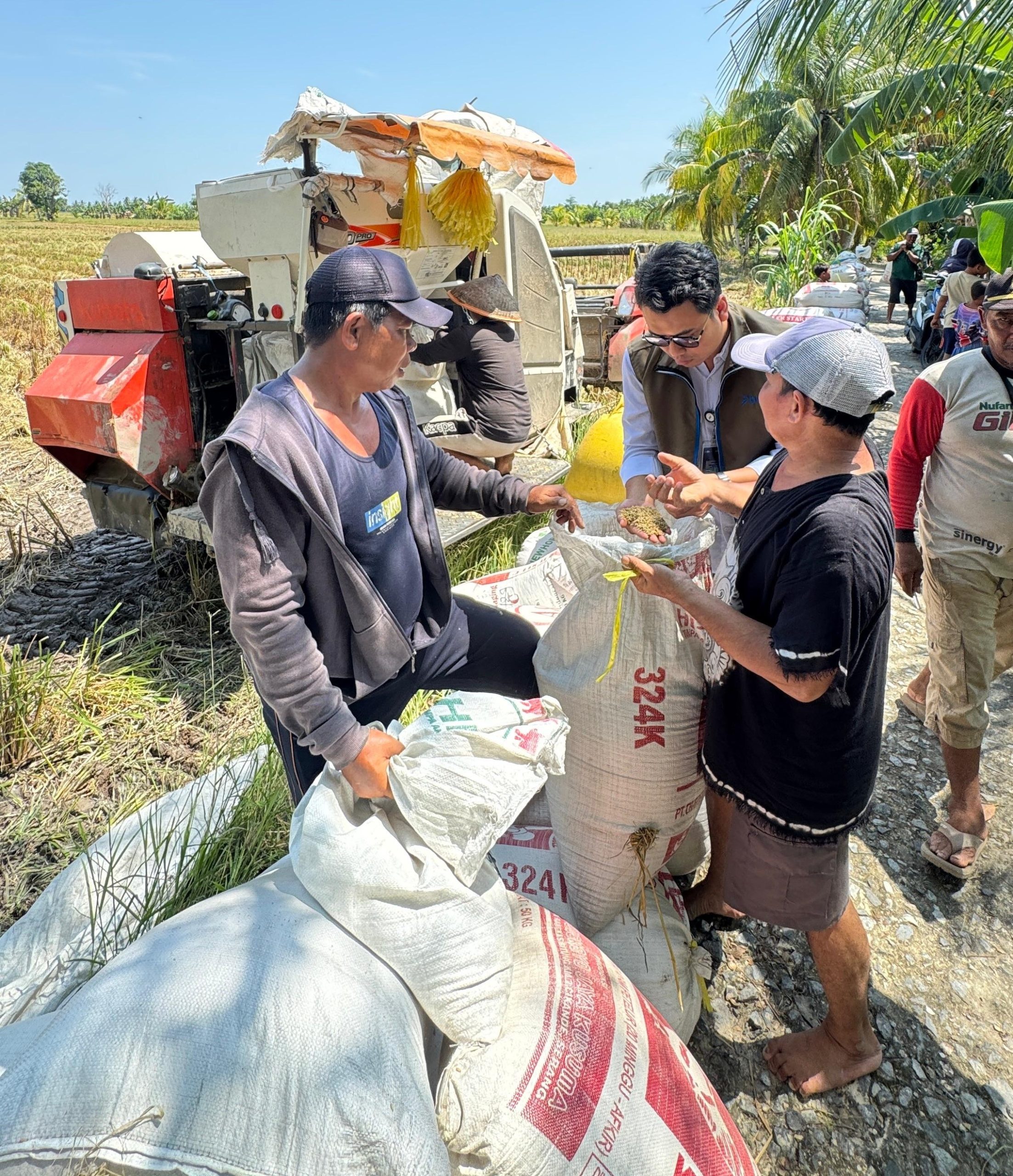 Bulog Singkawang Serap 7.862 Ton Gabah Petani, Tembus 101 Persen Target 2026