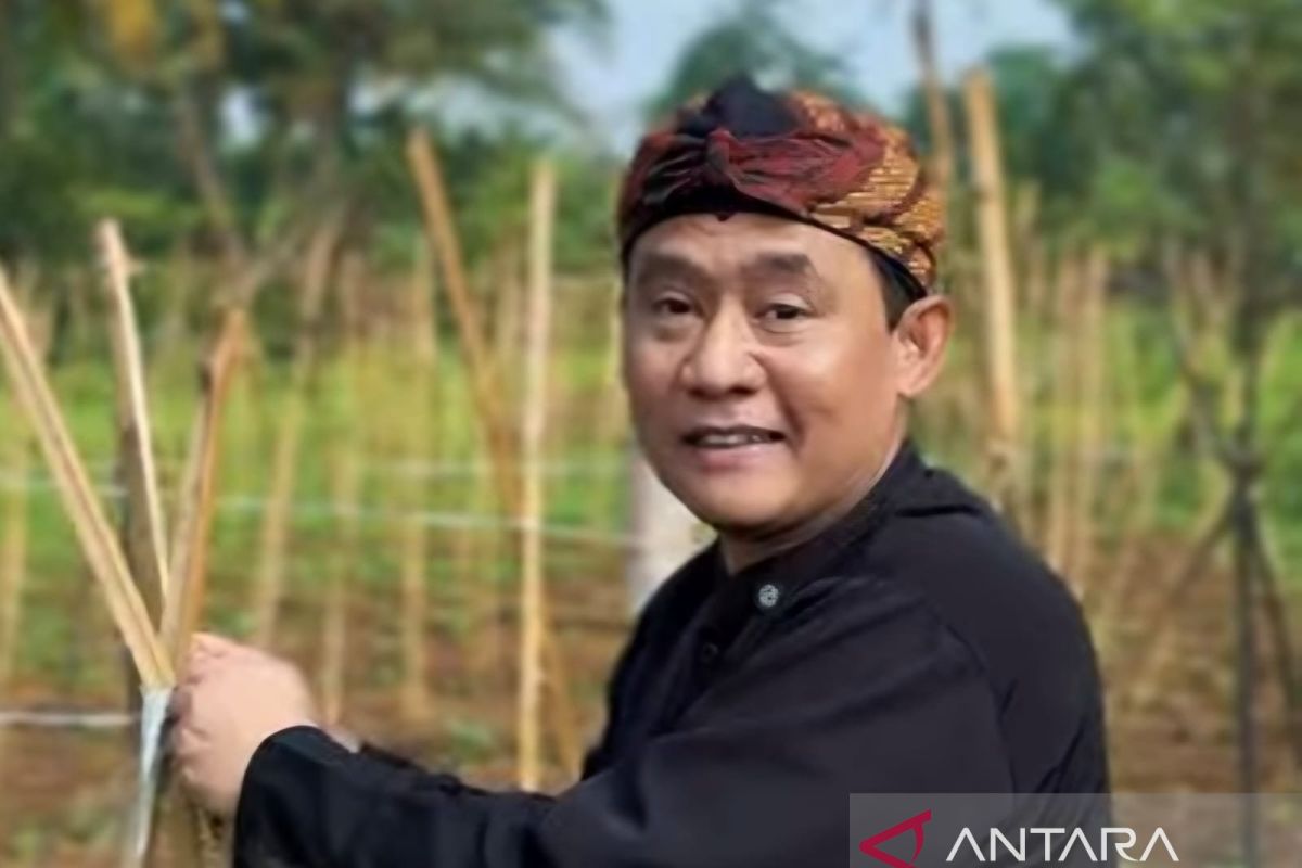 15 KWT di Cianjur Sulap Pekarangan Jadi Lumbung Pangan, Telur dan Sayur untuk Tekan Stunting