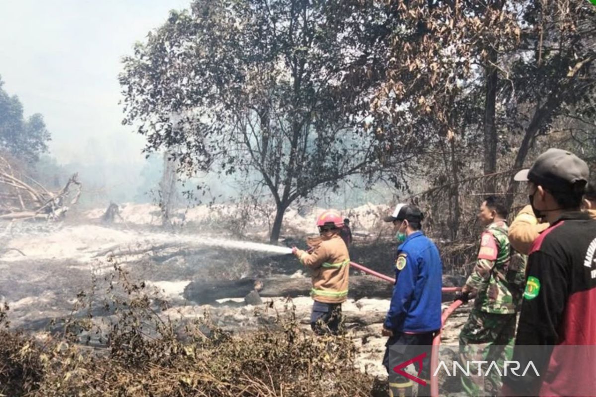 Tim Gabungan Padamkan Kebakaran 13,8 Hektare Hutan Konservasi di Kaltim, 5.000 Relawan Jadi Ujung Tombak