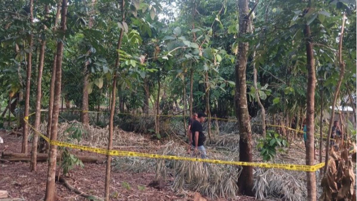Sengketa Adat Pemakaman Berujung Maut di Sumba Barat Daya, Tiga Kerabat Bacok Pria 47 Tahun hingga Tewas