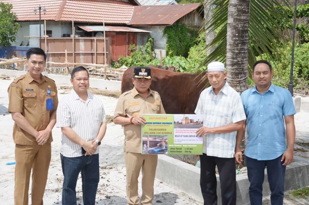 Bupati Kapuas Serahkan Sapi Limosin Berbobot 994 Kg dari Presiden Prabowo ke Masjid At-Taqwa, Begini Suasana Penyerahannya