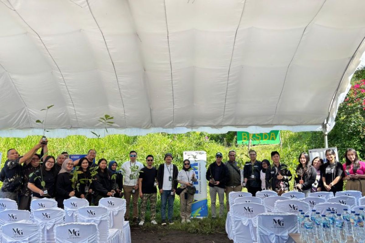 PNM Tanam 29.000 Bibit Pohon di 58 Cabang, Tomohon Jadi Salah Satu Titik Penghijauan