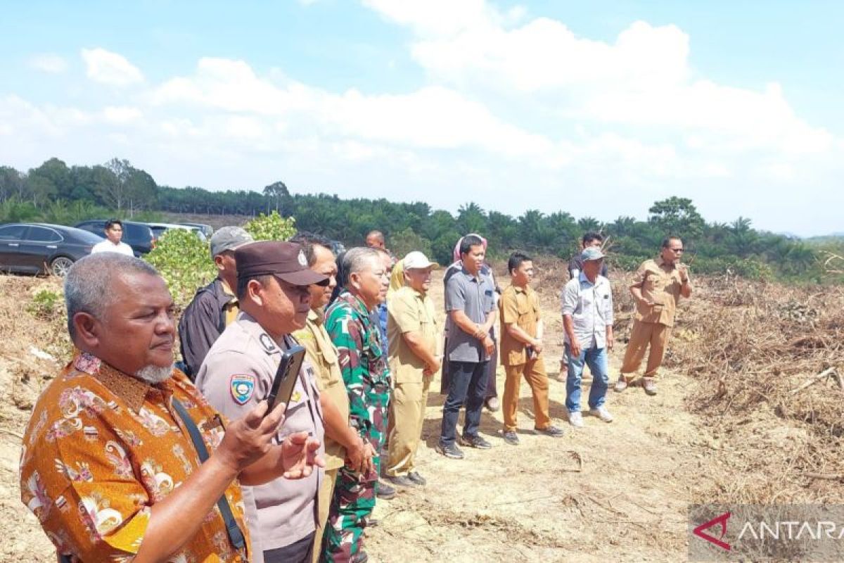 Luas 58,3 Hektare, Peremajaan Sawit Rakyat di Belitung Fokus pada Tanaman Tua di Atas 25 Tahun
