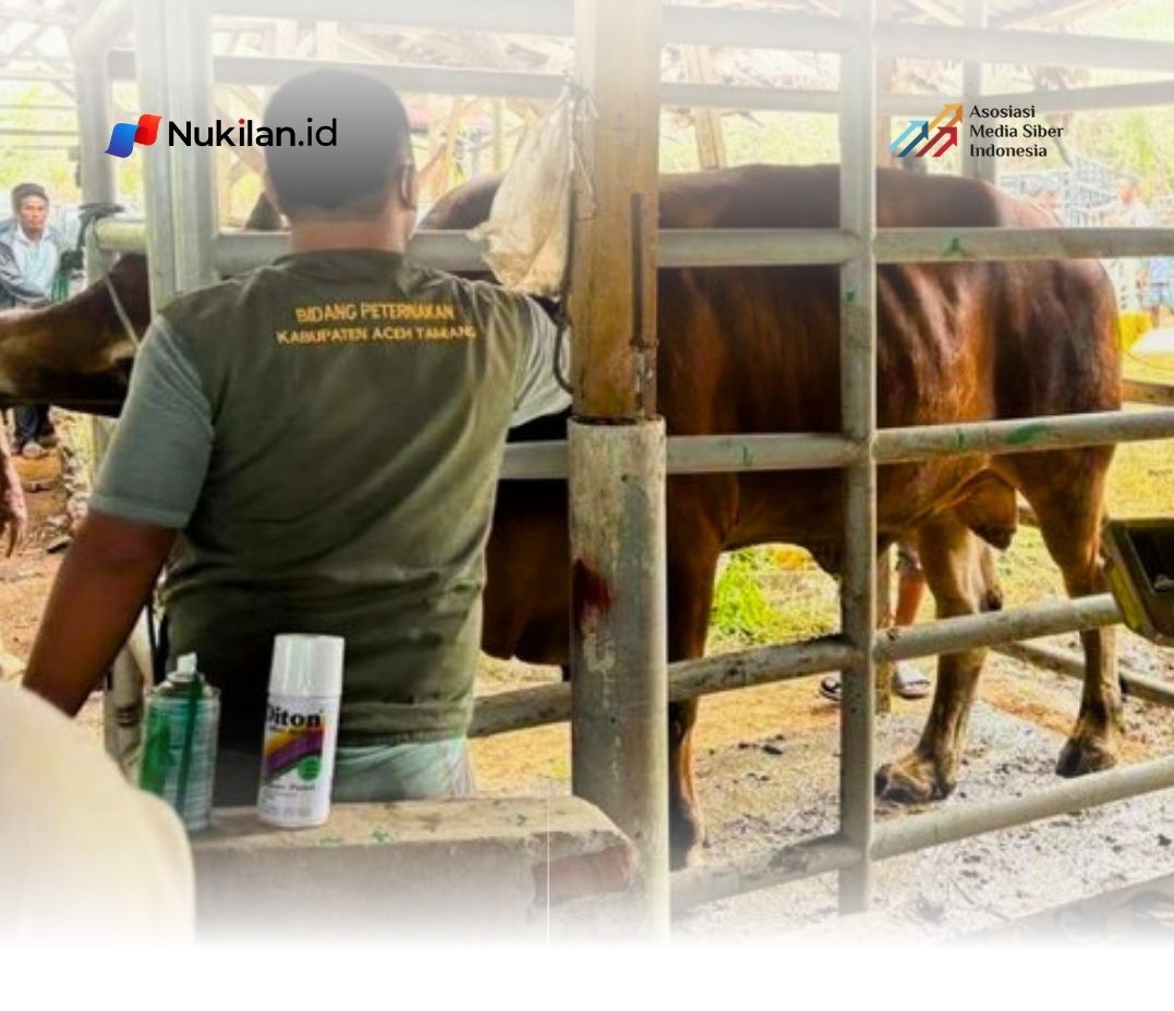 56.387 Ekor Ternak di Aceh Terdampak Bencana, Pemerintah Siapkan 33.430 Ton Pakan untuk Peternak