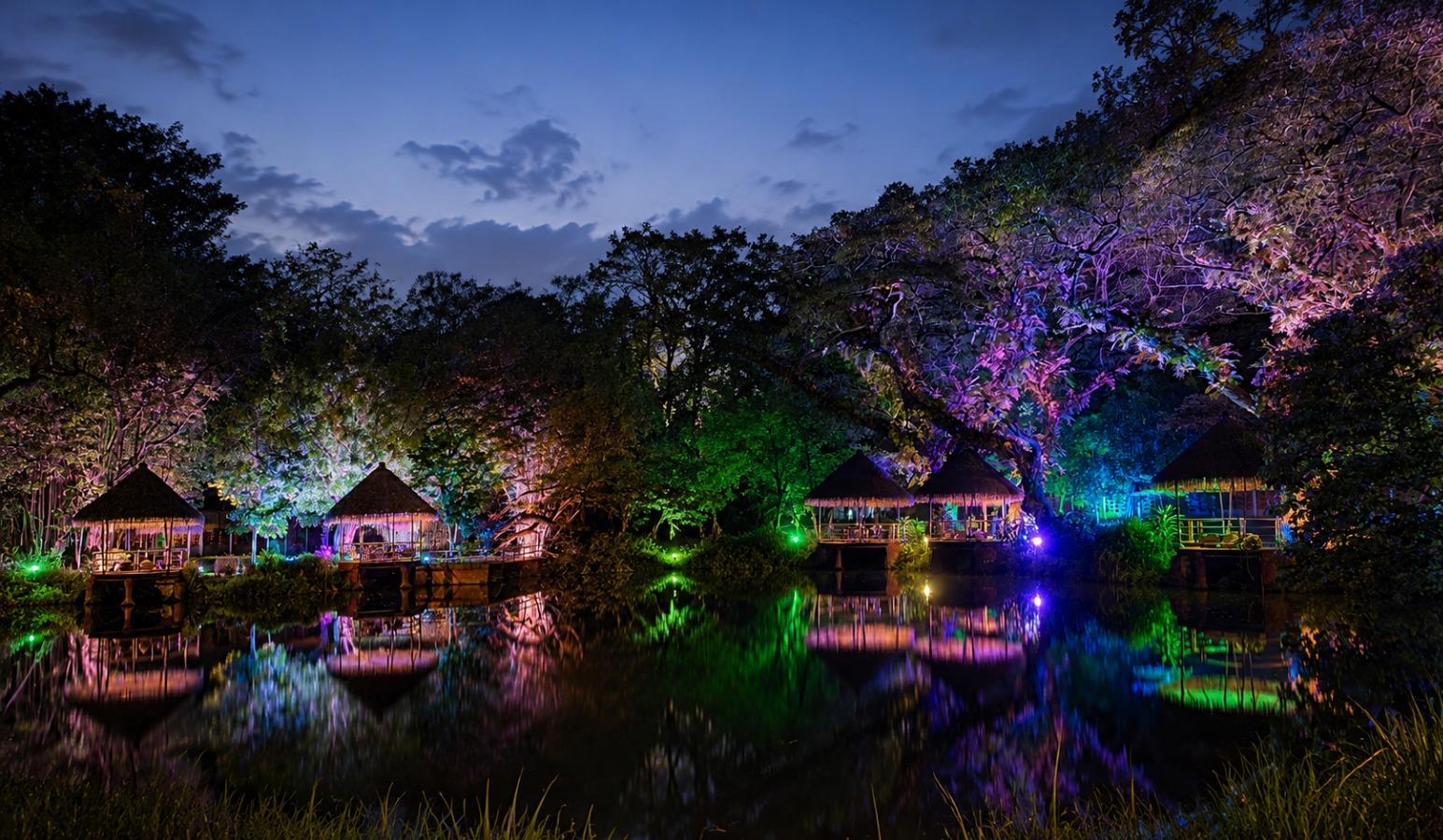 Solo Safari Luncurkan Safari Vibes dan Hutan Menyala Magical Jungle, Wisata Malam Baru Rp 88 Ribu untuk Generasi Muda