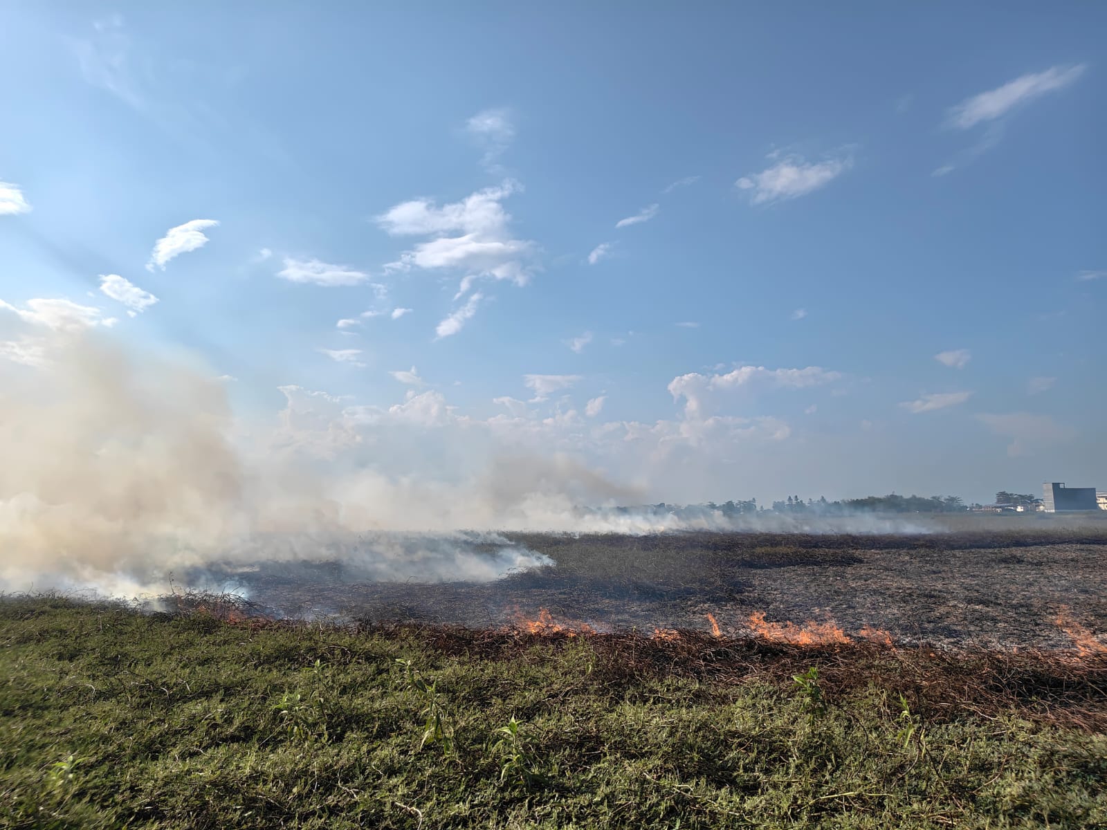 96 Karhutla di Kabupaten Banjar Hanguskan 372 Hektare Lahan, 87 Desa Terancam Krisis Air Bersih