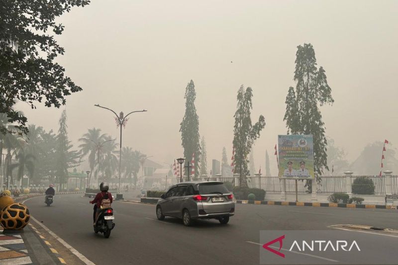 Kabut Asap Selimuti Buntok, Jarak Pandang 50 Meter dan 171 Hotspot Terpantau