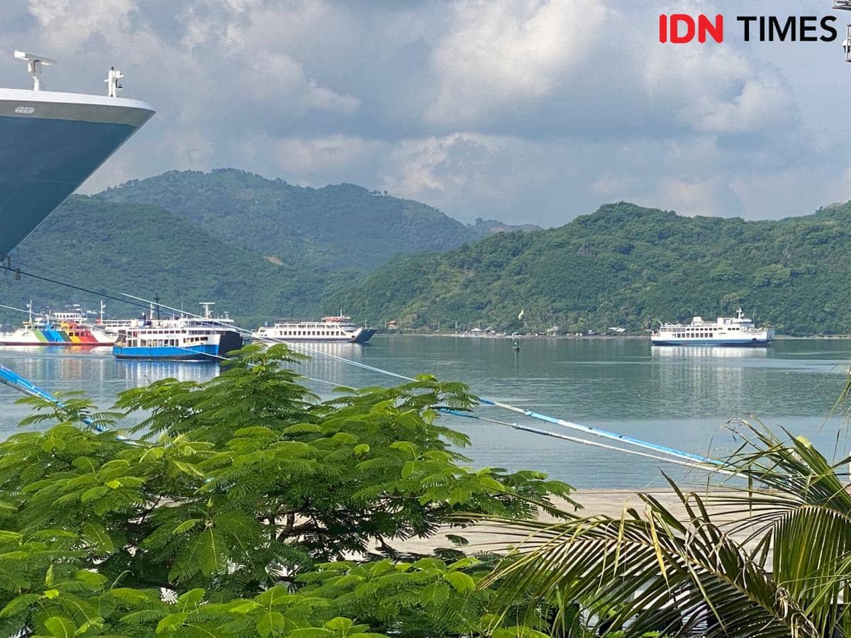Harga Tiket Kapal DLN Rute Lombok-Surabaya Mulai Rp 225 Ribu, Jadwal Keberangkatan Jumat 10 Juli 2026