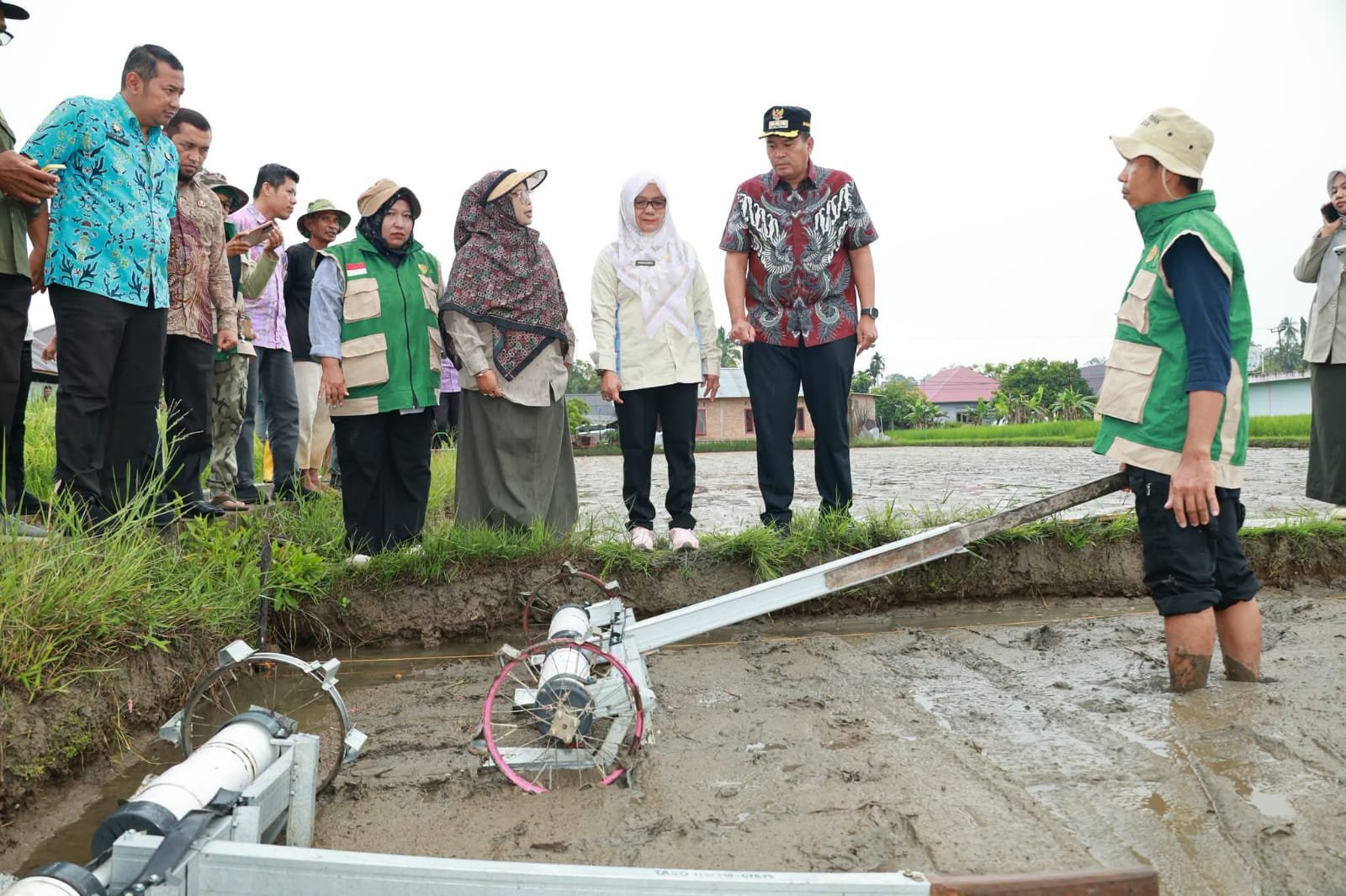 Tanam Perdana Padi Teknologi PM-AAS di Pariaman, Petani Andalkan Benih Langsung Tanpa Semai untuk Dongkrak Produktivitas
