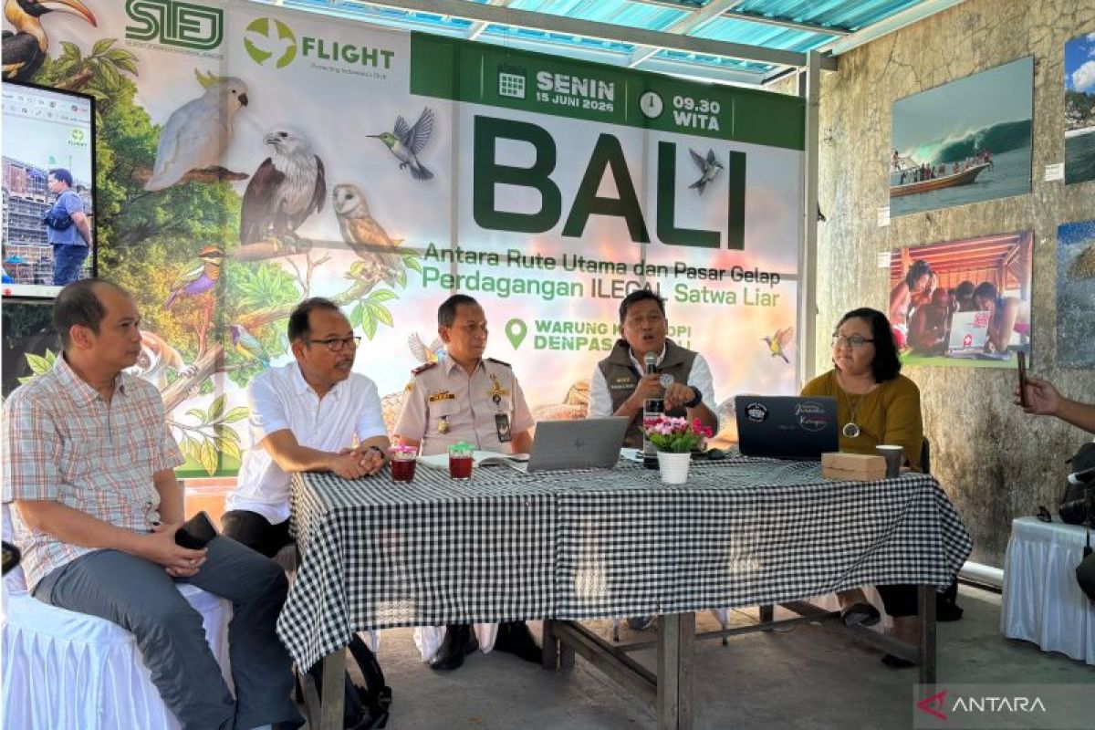 Warga Bali Mulai Serahkan Monyet Ekor Panjang ke BKSDA Usai Gubernur Terbitkan Larangan Pemeliharaan, 16 Ekor Sudah Direhabilitasi