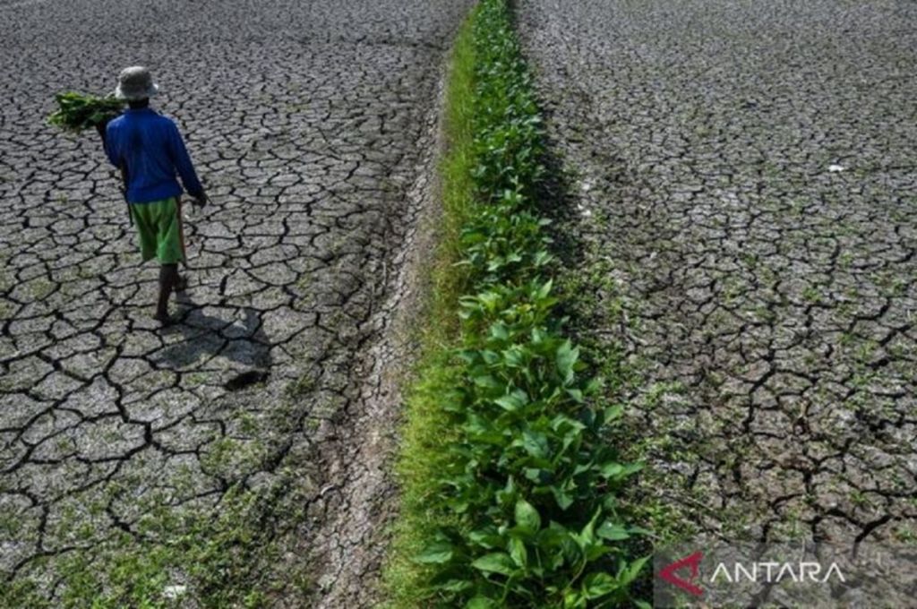 Antisipasi Puncak Kemarau, Pemprov Gorontalo Terbitkan Edaran Kesiapsiagaan Kekeringan dan Karhutla