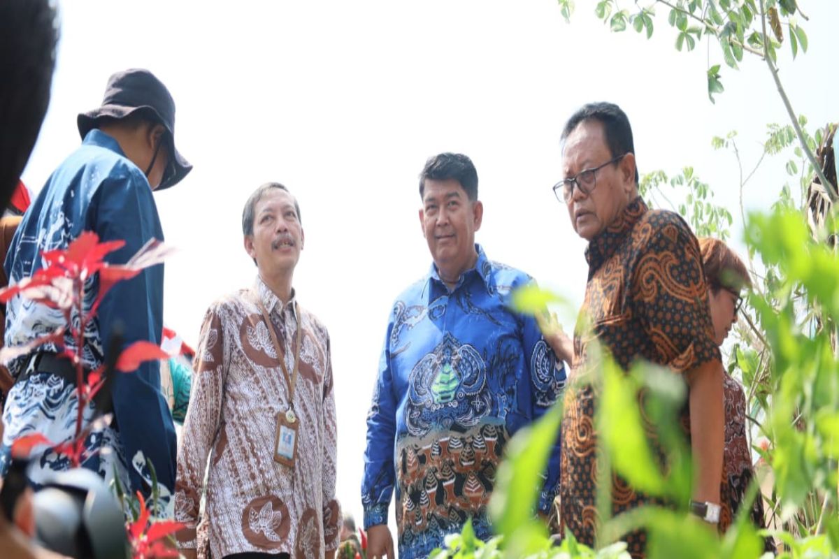 Festival Gebyar Inovasi Lumbung Mataraman 2026 Digelar di Kulon Progo, 15 KWT Ikut Pameran