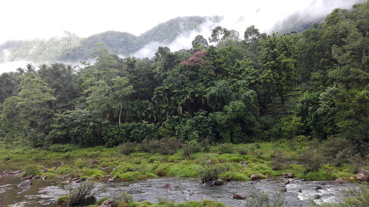 Prakiraan Cuaca Papua 6 Mei 2026: Kota Jayapura Cerah Berawan