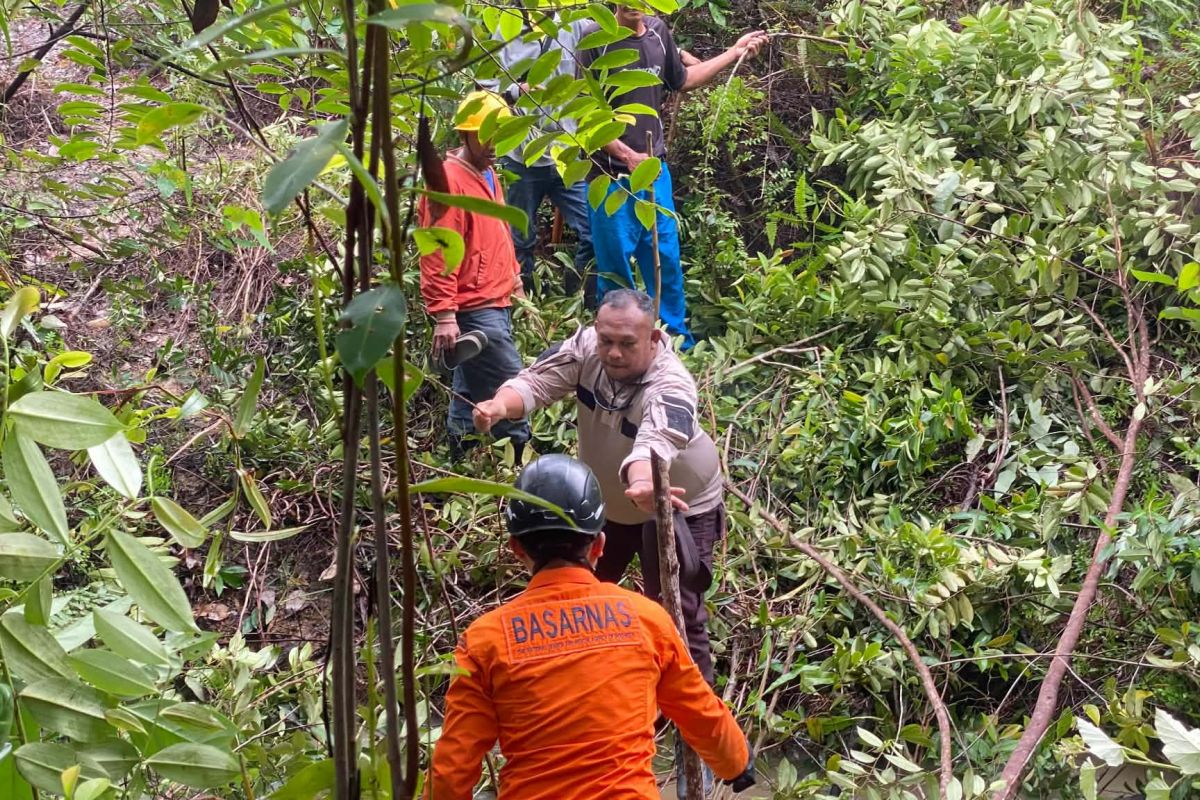 Tim SAR Gabungan Cari Nenek 68 Tahun di Singkep Barat Lingga, Sudah Tiga Hari Tidak Pulang