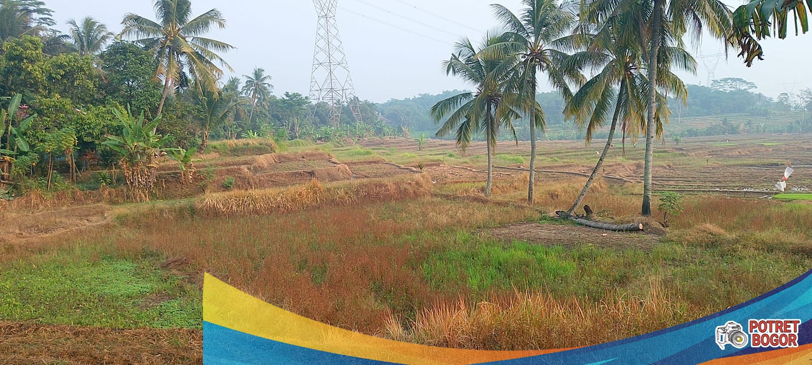 Irigasi Cikumpeni di Bogor Lumpuh Akibat Sedimentasi Tambang, 790 Hektare Sawah Premium Terancam Gagal Panen