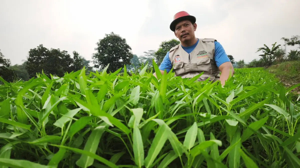 Program Petani Berdasi di Cibungbulang Bogor Mulai Tarik Minat Anak Muda Garap Sawah