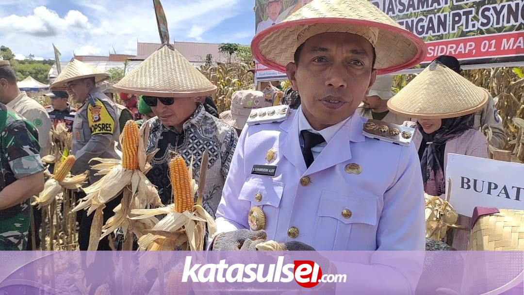 Bupati Sidrap Syaharuddin Alrif Targetkan Produktivitas Jagung Tembus di Atas 8 Ton Per Hektare