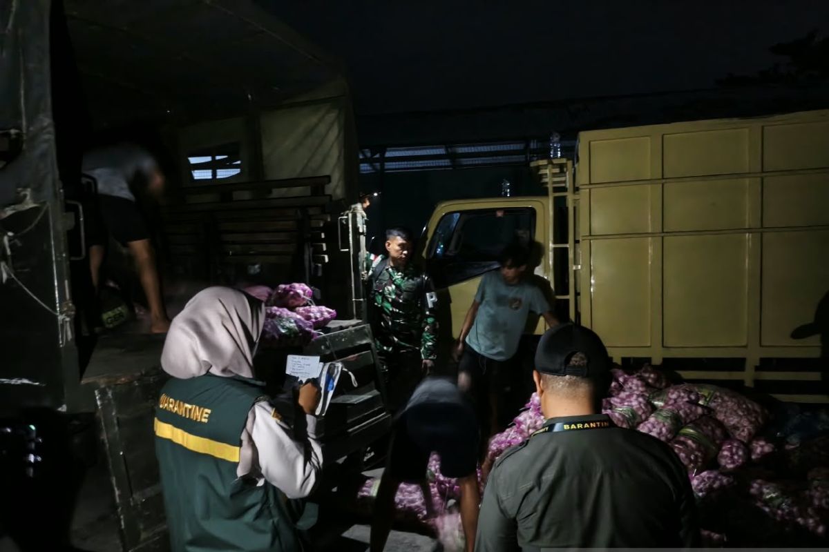 BKHIT Kepri dan TNI AL Gagalkan Puluhan Karung Bawang Impor Ilegal Masuk Natuna Lewat KMP Bahtera Nusantara