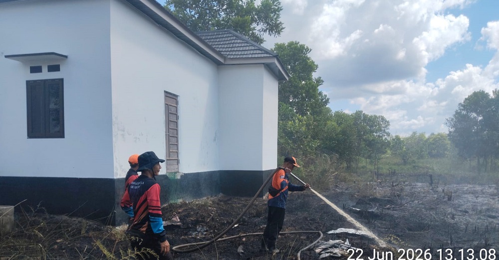 Kebakaran Lahan Gambut di Baamang Hilir, Kotawaringin Timur, Hanguskan Setengah Hektare, BPBD Bergerak Cepat