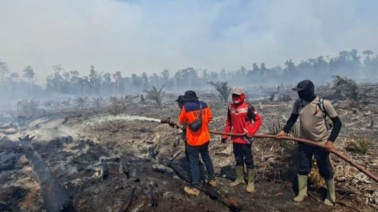 Polda Aceh Selidiki 5 Kasus Kebakaran Hutan di Lima Kabupaten, Satu Diduga Sengaja Dibakar