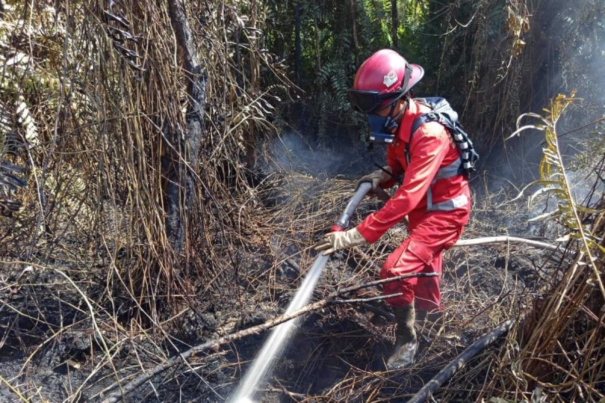 Balai Dalkarhut Kalbar dan JICA Latih 40 Fasilitator Manggala Agni, Ganti Bakar Lahan dengan Pakan Kambing Etawa