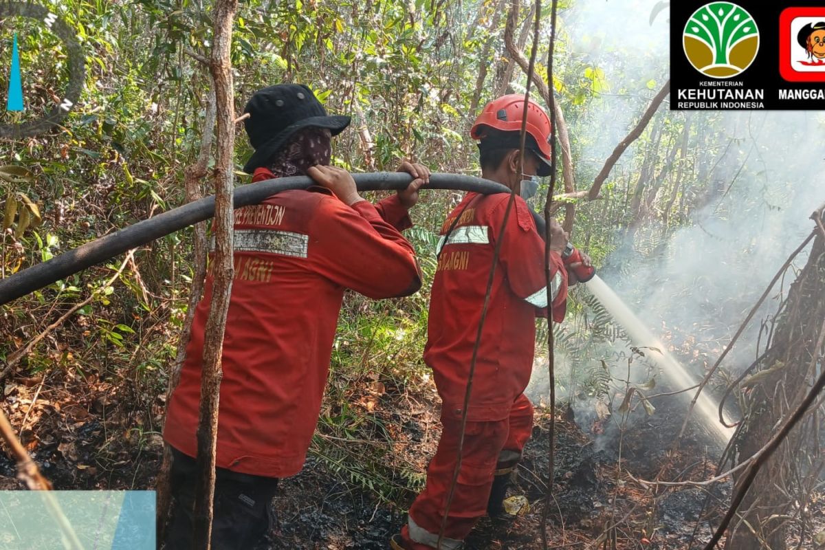 Balai Dalkarhut Sumatera Kerahkan 954 Personel Manggala Agni, Fokus Padamkan Karhutla di OKI Sumsel