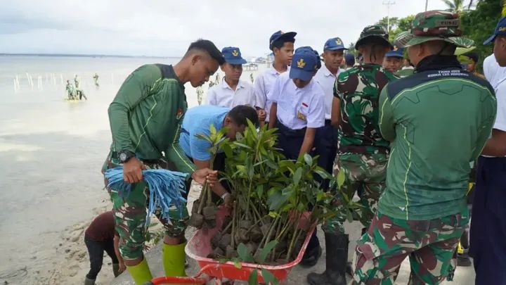 Satgas TMMD Ke-129 Kodim 1311/Morowali Tanam 1.000 Mangrove di Pantai Umbele Bersama Warga