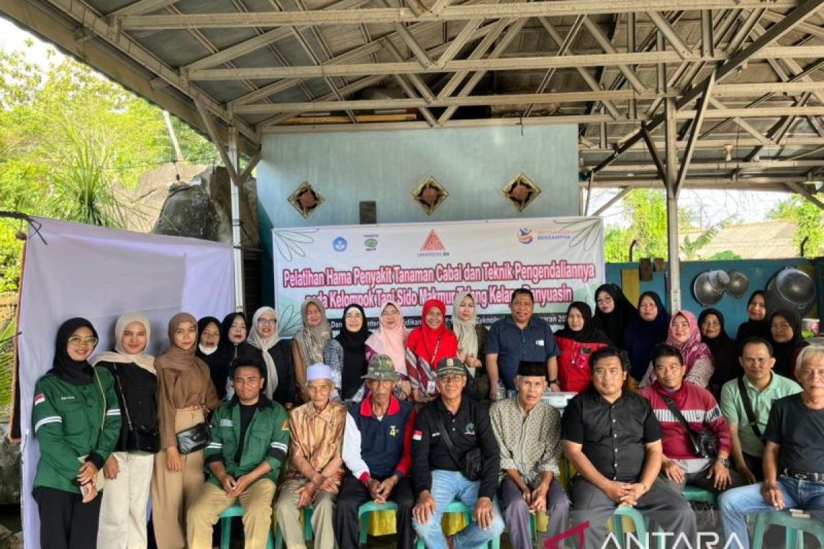 Petani Cabai di Banyuasin Dilatih Jual Langsung ke Konsumen Lewat Digital, Target Putus Rantai Pasok Pemicu Inflasi