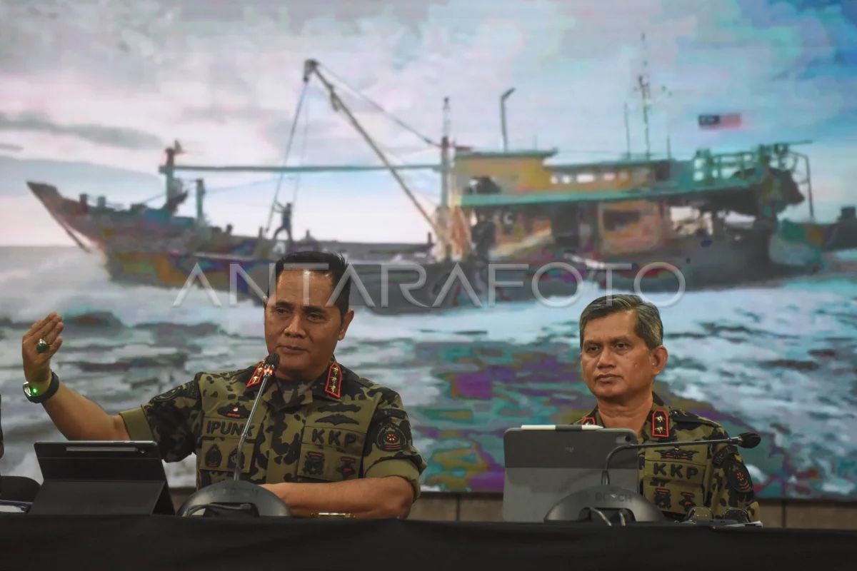 KKP Lepasliarkan 1.300 Ikan Napoleon Hasil Tangkapan Kapal Penyelundup di Kawasan Konservasi Sulawesi Utara