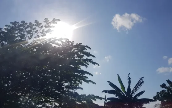 Cuaca Sulawesi Tenggara 24 Juli 2026: Cerah Berawan Dominasi, Tiga Wilayah Waspada Hujan Ringan Siang Ini