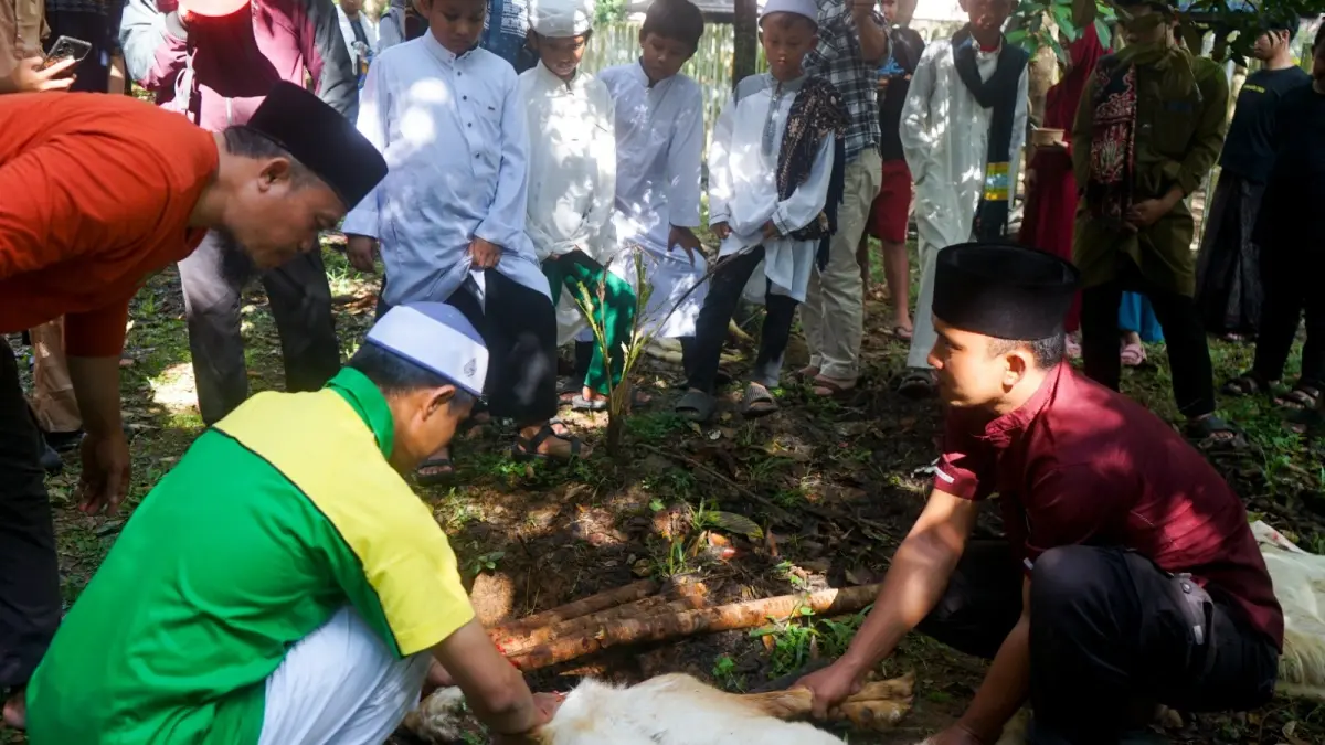 Masjid Raya Mujahidin Pontianak Potong 30 Sapi dan 13 Kambing Kurban, Distribusi Kini Bisa Dipantau Warga Lewat Grup Medsos