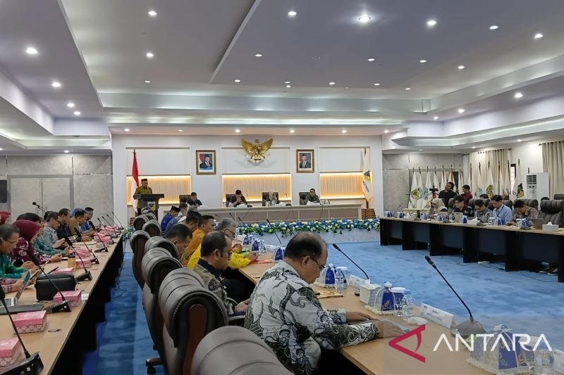 Kementerian ESDM Minta Bupati dan Wali Kota di Sulteng Percepat Izin Program Listrik Perdesaan