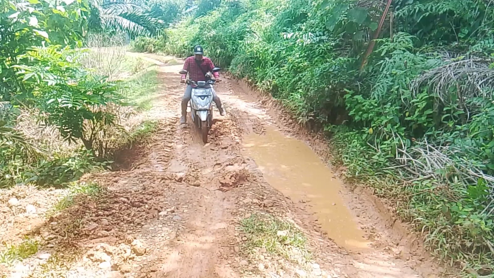 Jalan Kabupaten di Dusun Anyar Bengkulu Tengah Rusak Parah Sejak 2016, Warga Keluhkan Akses Menuju Kantor Bupati Dipenuhi Lumpur
