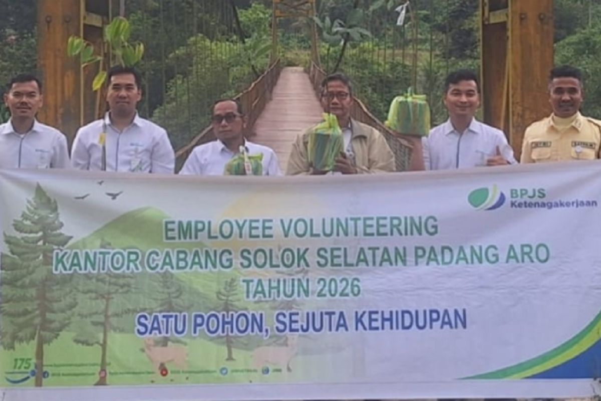 BPJS Ketenagakerjaan Solok Selatan Tanam Puluhan Bibit Pohon Buah di Pinggir Sungai untuk Cegah Erosi