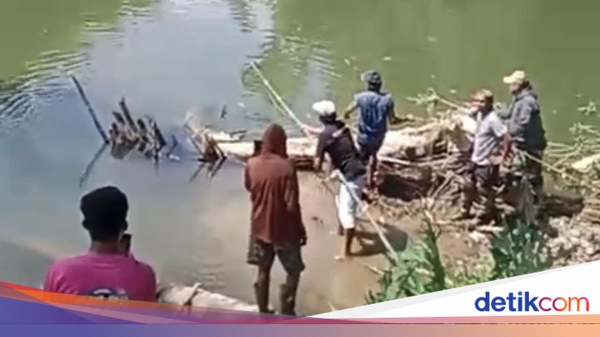 Buaya 3 Meter Kerap Muncul di Sungai Bone, Warga Desa Massenrengpulu Tangkap Pakai Tangan Kosong