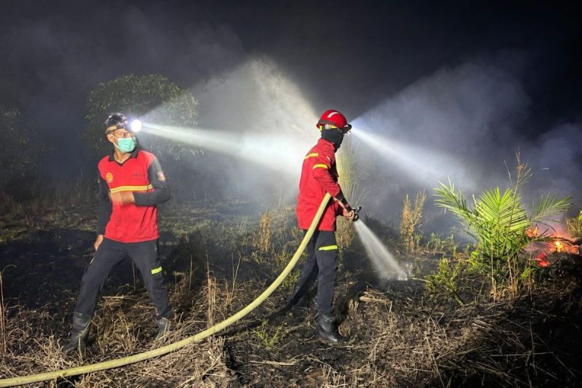 PT PBP Kerahkan 12 Personel dan 4 Alat Berat Padamkan Karhutla di Muaro Jambi, Warga Dilibatkan Bentuk KMPA