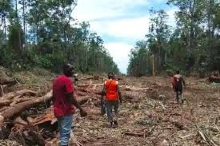 40,9 Persen Tenaga Kerja Asli Papua di Freeport, Bukti Pembangunan Inklusif dan Penguatan SDM Lokal