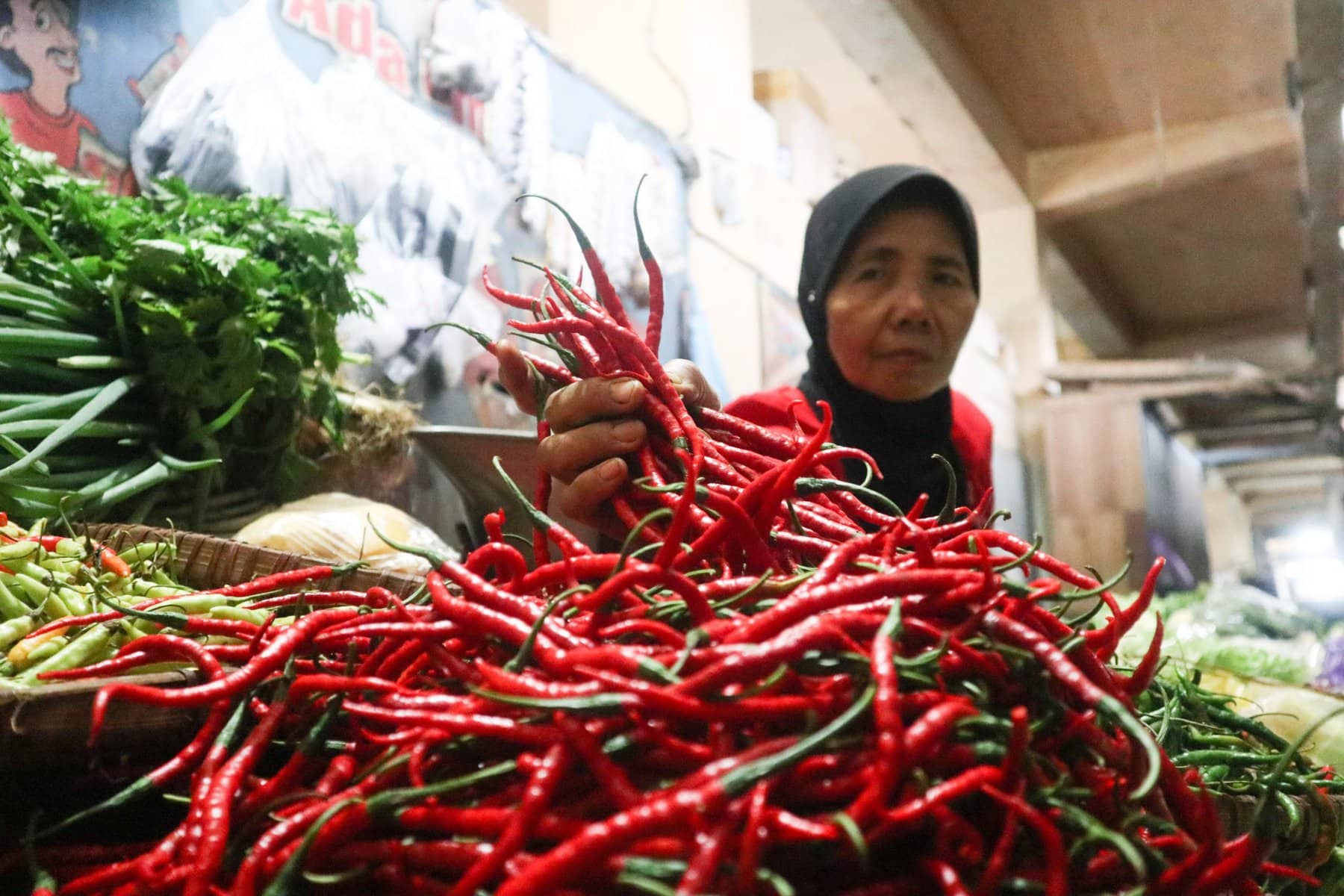 Harga Cabai Keriting di Pesisir Selatan Masih Bertahan di Rp52 Ribu per Kilogram, Pasokan Bergantung dari Medan dan Kerinci