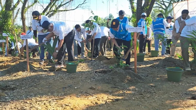 PLN UID Sumbar Tanam Ribuan Pohon di Hutan Kota Padang, Dukung Target Lingkungan Hidup 2026