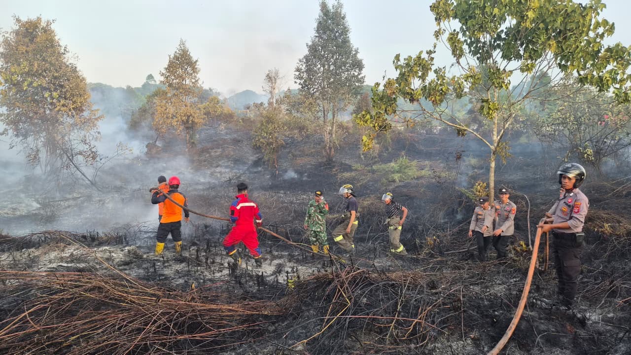 Kebakaran Lahan Gambut 4,13 Hektare di Penajam Paser Utara, Polsek Imbau Warga Tak Bakar Lahan