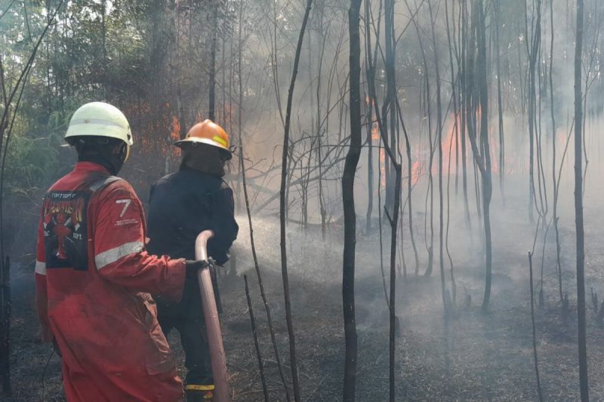 Pemkab Bintan Ubah Strategi Lawan Karhutla, 67 Kejadian Terjadi Sepanjang Juli-Agustus