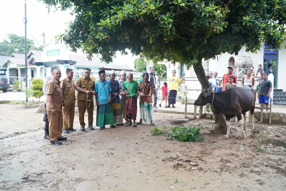 Ketua TP-PKK Jambi Salurkan Dua Ekor Sapi Kurban ke Batang Hari dan Muaro Jambi Jelang Idul Adha