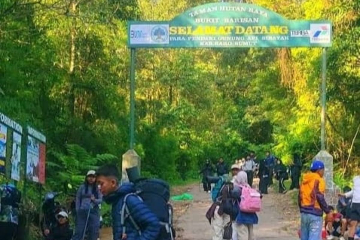 Izin Pengelolaan Wisata Gunung Sibayak Disorot Usai Tewasnya Remaja, Ini Batas Kewenangan PT Pariban Sibayak Jilena